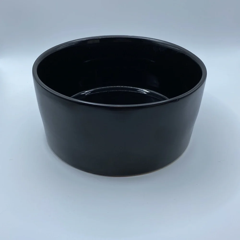 Rae Dunn Black Scary Cute Dog Bowl Halloween